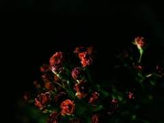 이스케이프(escape) 1