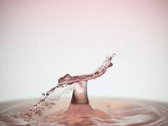 명렬의신 | SPECIMEN