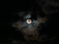 용, 피를 토하는 용