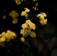 [시리무] Endless Love