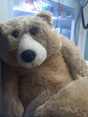 주간글쓰기스터디