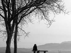 어느 사육사의 우울