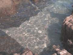 나이아데스는 두렵다