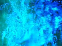 田所あずさ-ソールに花びら 가사 번역