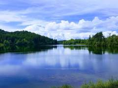 [살파랑/장경고윤] 강호(江湖)에 여름이 깃드니