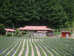 [방탄소년단] 조용한 또라이_00. 소소마을