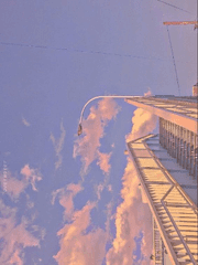 트위터 썰 백업