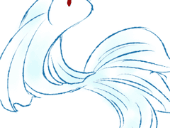 합작 전체 모음