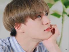 [이제노] 해바라기의 고백 4