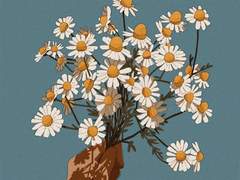 13ㅣthe perks of being a wallflower