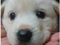 그려야겠다고생각만하던것중하나