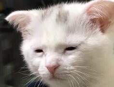 [방탄소년단] 조용한 또라이_01. 졸업식