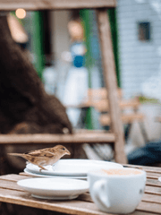 [일상] 하루에 한 번