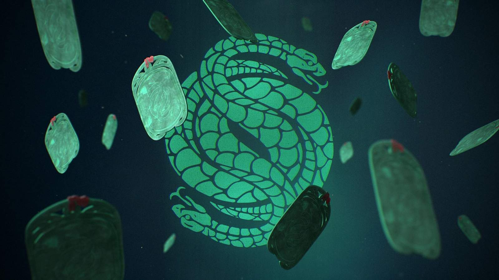 데스티니 갬빗 코인 (96) 사진