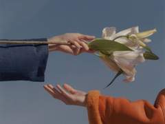 내 온 생애를 다해서 당신을 사랑했다고 전하는 고백