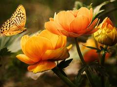 비밀보장! 외 外