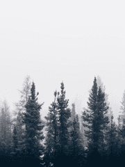 [이나리자키] 아름다웠던 일상이.