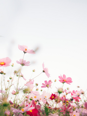 언젠가..연재 하게 될 글