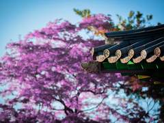 [찬케이] 화안가(花顔歌)