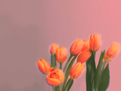 정말 많이 고민해봤습니다.