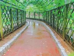 꿈을 이루기 위해