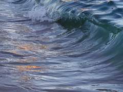 꿈 속의 당신에게.