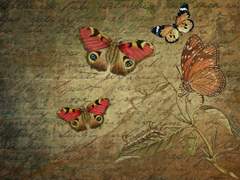 [수련애교] 윤달의 마법