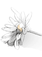 MERCEDES EYAL : 자비의 권세