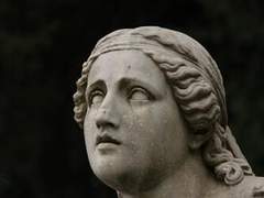 누가 오만의 꿈을 꾸는가