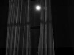 내가 어떻게 널 사랑하지 않을 수가 있겠어 中