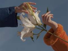 삶은 피투성被投性임을 너무 아프게 깨닫고 있다는 고백