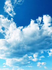 [진국] Cheese in the trap