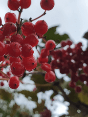 사진작가가 꿈이었던 저희 아빠 폰카 시리즈