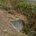 人生之事 塞翁之馬