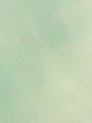 내 동거인은 뱀파이어