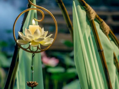 [희신강징] 둔갑요괴 설화 - 下(1)