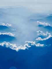 자캐 로그 백업