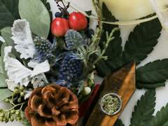 지나치게 달콤한 1