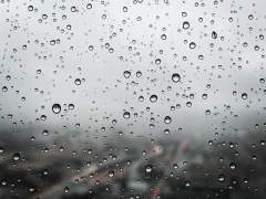 [와찬] 비가 오는 날에