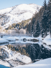 창백한 겨울의 끝에서