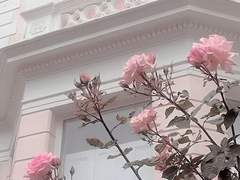 몰라서 하는 말