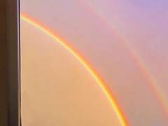 흩날리는 꽃에 불이 붙음과 동시에 곧이어 터지는 광음. 봄날의 불꽃놀이.