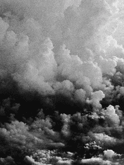 저문 달은 그대를 닮았다