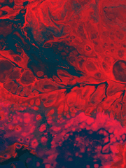 백작가의 망나니가 되었다.