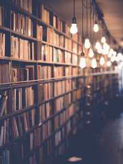 로오히 2차 창작