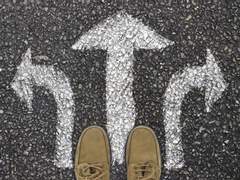 당신은 어떤 선택을 할 거야?