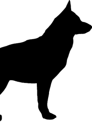 더블크로스 시나리오