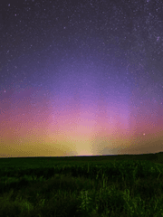 [귀멸의 칼날 드림] 졸업과제로 만든 세계에 갇혀버렸다
