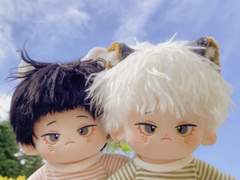 完)) 20cm 주음/주야