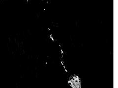 사카보르 <시선>